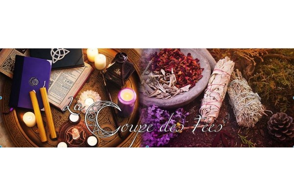 Newsletter Janvier 2026